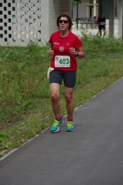 Onderweg Boon 2014 - 378